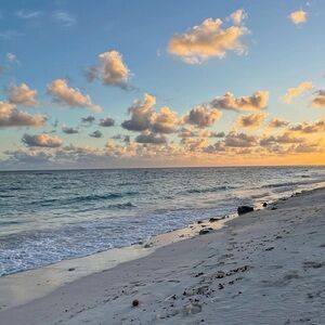 Meet your Posher, Chelsea